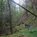 The way to Rainkopf-Wand