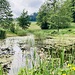 schönes Biotop auf der Munimatte