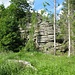 Die Scherstorklippe liegt direkt neben dem Wanderweg. Einte Trittspur führt rechts herum, dieser  folge ich.