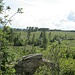 Blick von der Scherstorklippe nach Süden. Vorne gegenüber der niedrigere Teil des Felsens, dazwischen liegt unten die steile Rinne, über die ich hochgekommen bin.