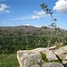 Blick von der Mauseklippe nach Norden. Unten ein Teil des Ortes Schierke (der Hauptteil liegt links außerhalb), und geradeaus gegenüber die Feuerstein-Felsen beim Bahnhof Schierke. 