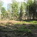 Nicht weit von der Mauseklippe entfernt erreiche ich die Schnarcherklippen, bestehend aus der nördlichen (links) und der südlichen (rechts).