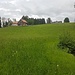 ich gehe rechts am Rand der Wiese aufwärts, bis ich auf den Wanderweg aus dem Auenloch stosse. Links an der Hütte ist ein Wegweiser, an dem ich gleich vorbeikomme.