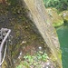 das Ende des Geländers - auch hier kann man reinspringen
