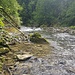 und weiter als Amphibie - barfuss im Wasser, als Menschenaffe auf dem Waldboden und mit Turnschlappen auf den Felsen und in den Brombeeren
