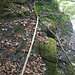 kein Seil, morsche Hasel, aber fester Tritt auf Sandstein. Trockenes Wetter vorausgesetzt
