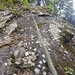 weiter oben - Seil und Fels