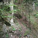 von der Hütte führt ein Pfad in die Runse hinter dem Felsriegel, ich könnte hier absteigen, wenn es nicht Zeit wäre, heimzukehren