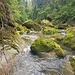 hier sind keine Krampen zu sehen, die Felsblöcke im Flussbett führen zu Verengungen, in denen die Strömung sehr stark ist und das Wasser entsprechend tief. Heute ist hier Schluss.