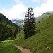 Rückblick auf den Aufstiegsweg 