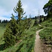 An der Mariandlalm vorbei stiegen wir zum Nesselberg