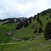 Wildenkaralm (1440 m)