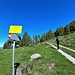 Biazza