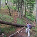 Unterhalb vom Zwölferspitz wird's etwas wilder, aber hinten am Baum ist eine Markierung erkennbar. Bedeutet wohl dass wir noch richtig sind.