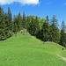 Im Sattel zwischen Hochplatte und Friedenrath geht es hier den Hang hoch.