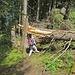 Unterquerung eines Baumes, aber auf guter Wegspur.