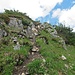 Dies hier ist der Aufstieg zum eigentlichen Friedenrath-Gipfel
