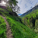 Sur le chemin du Lièfranc.