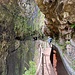 scm auf der Levada