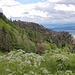 Im Abstieg nach der Beiz. Der Blick schweift rüber zum Grat.