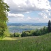 Herrliche Wiese.