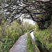 Levada