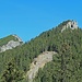 Stachlerkopf 