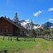 Alphütte Sass am Wanderweg zum Sassförkle