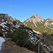 der erste Schnee 