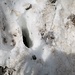 hier bin ich, nahe am Fels mit dem rechten Fuss bis zur Hüfte im Schnee eingesoffen.