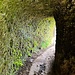 Wieder ein Tunnel