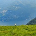 Fuori dal bosco