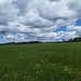 Windkraftwerk-Park auf dem Mont Soleil