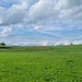 Landschaft bei Marktoberdorf 