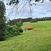 Tälchen neben der Allee 