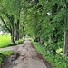 Kurfürstenallee