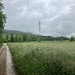 Auf dem Rückweg südlich von der Aare. Die Gisliflue in Wolken.