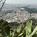 Unterwegs in Athen - Blick über Kakteen im Hang des Lykabettus, u. a. zum Panathinaiko-Stadion.