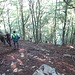 Discesa nel bosco «mooolto» ripida, che al ritorno ci toccherà fare in salita, sob! sob!
