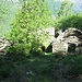 E dopo 45 minuti di ripida discesa eccoci a Varola (921 m), un bel gruppo di baite in gran parte crollate, ormai fagocitato dal bosco. Prima di giungere qui, circa 80 m più in su si passa da Varolino, un altro gruppetto di baite dirute, dove si trova un ciliegio centenario un po’ malmesso.