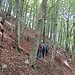 Sulla via del ritorno nel bosco di faggi; sull’albero, uno dei nuovi segnavia rinnovati una settimana fa.