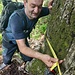 Misurazione del faggio: m 4,70 di circonferenza. (foto Marco)