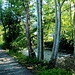 <b>La ciclopista si sviluppa di fianco al Fiume Margorabbia.</b>