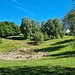 <b>Inizia ora la parte più ripida, che mi porta dapprima alla bolla per l’abbeveraggio del bestiame, al centro dell’ampia radura che si estende tra le due cime. Il mese scorso visitai la cima nord, oggi desidero raggiungere la cima sud, più selvaggia e nel bosco fitto. </b>