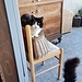 <b>Questa bella micia si chiama “Ammorbidente”. Da piccola è sopravvissuta ad un paio di giri in lavatrice…</b>