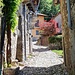 <b>Via Vigne.</b>