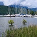 Porto del Sasso Moro