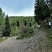 Parcheggio Alpe Mara
