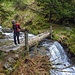 Torrente Rogna
