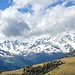 Corni Bruciati e Disgrazia